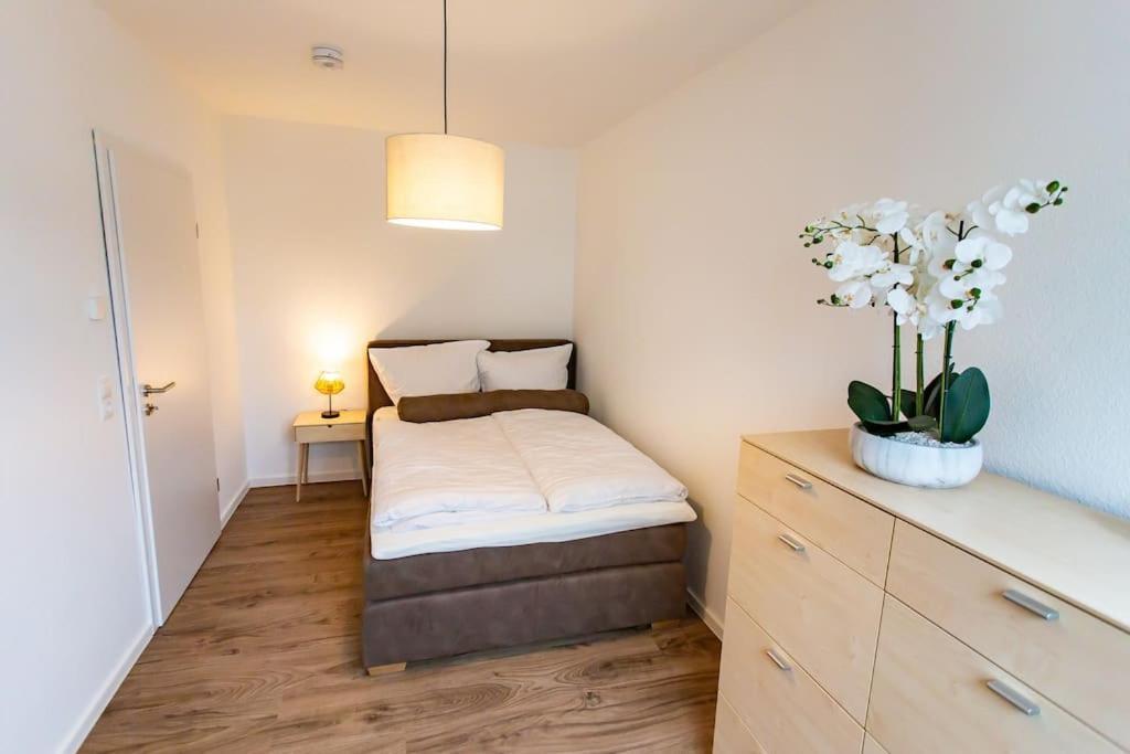 Grosse Cozy 4-Zi-Whg Mit Balkon Naehe Europa Park Und Rulantica Lejlighed Lahr  Eksteriør billede