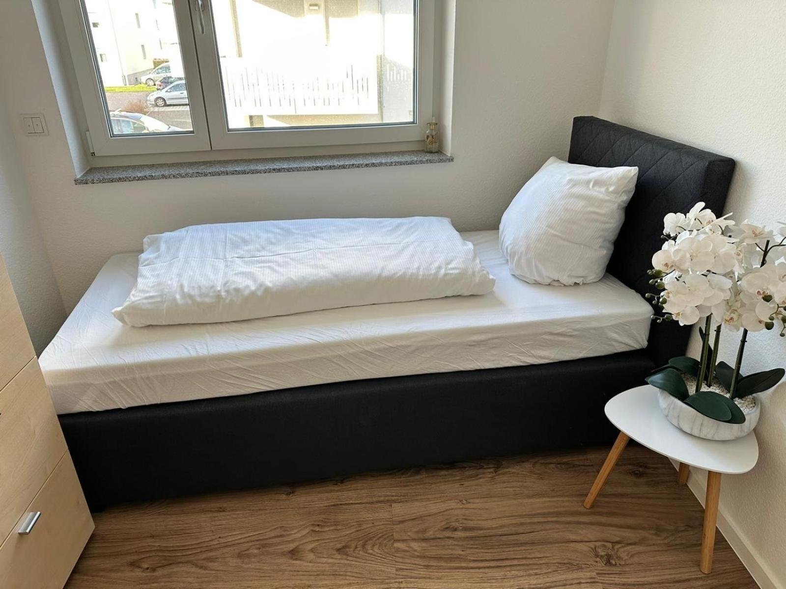 Grosse Cozy 4-Zi-Whg Mit Balkon Naehe Europa Park Und Rulantica Lejlighed Lahr  Eksteriør billede
